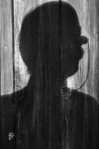 SHADOW